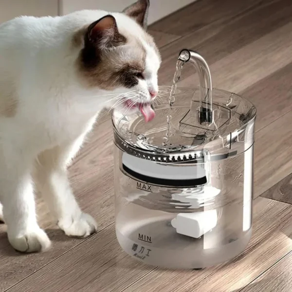 BEBEDERO PARA MASCOTAS TRANSPARENTE